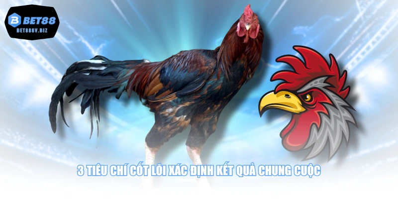 3 tiêu chí cốt lõi xác định kết quả chung cuộc