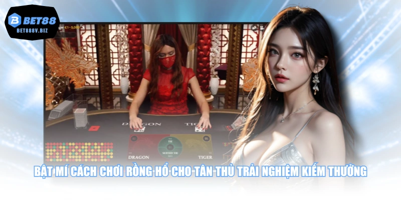 Bật mí cách chơi Rồng Hổ cho tân thủ trải nghiệm kiếm thưởng