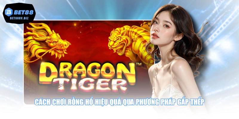 Cách chơi Rồng Hổ hiệu quả qua phương pháp gấp thếp