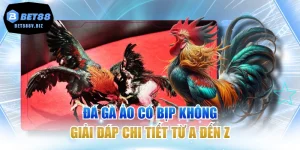 Đá Gà Ảo Có Bịp Không - Giải Đáp Chi Tiết Từ A Đến Z