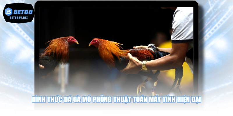 Hình thức đá gà mô phỏng thuật toán máy tính hiện đại