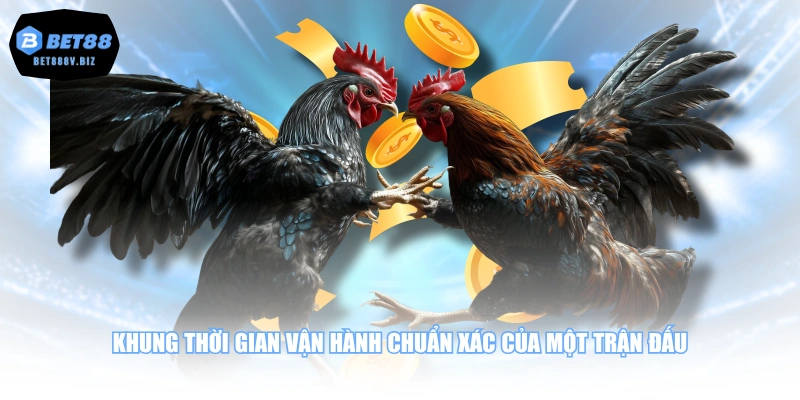 Khung thời gian vận hành chuẩn xác của một trận đấu