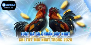 Luật Đá Gà Chuẩn Cập Nhật Chi Tiết Mới Nhất Trong 2026
