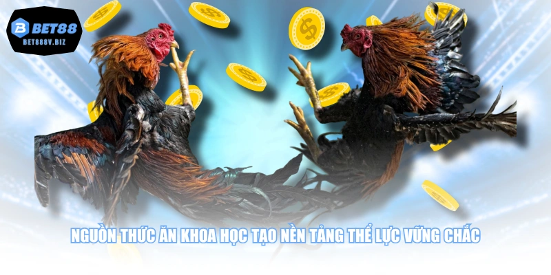 Nguồn thức ăn khoa học tạo nền tảng thể lực vững chắc