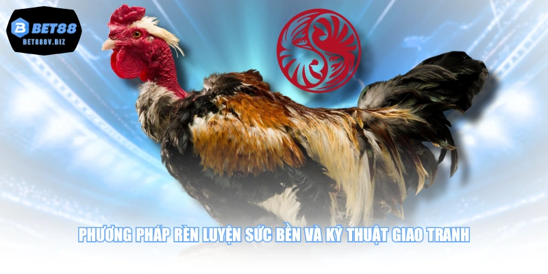 Phương pháp rèn luyện sức bền và kỹ thuật giao tranh