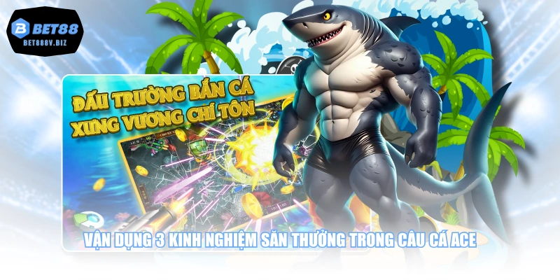 Vận dụng 3 kinh nghiệm săn thưởng trong câu cá ACE